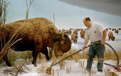 Richard Barnes, Man-with-buffalo